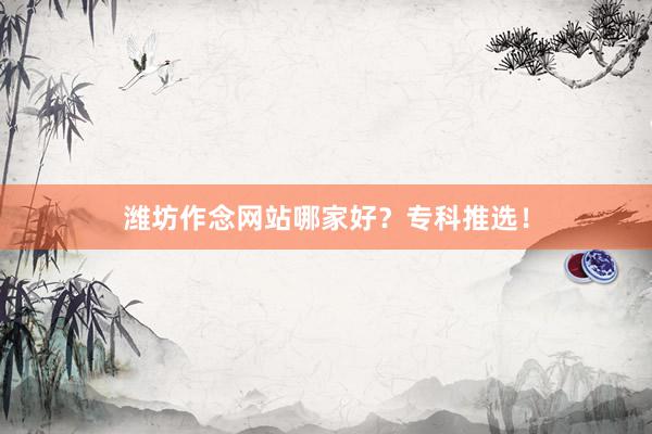 潍坊作念网站哪家好？专科推选！